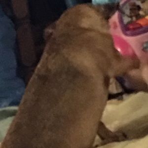 Meet your Posher, Divina